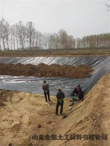 阿坝 鱼塘防渗隔离层 美标防渗膜 当地生产厂家